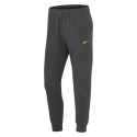 Pantalon Gris Homme 24-25 Racing 92 x Nike