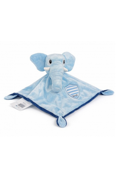 Doudou Mahout Junior