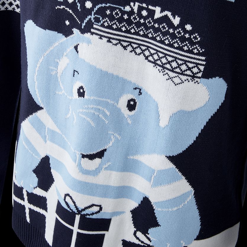Pull de Noel Mahout
