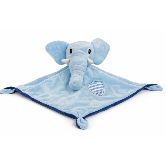 Doudou Mahout Junior